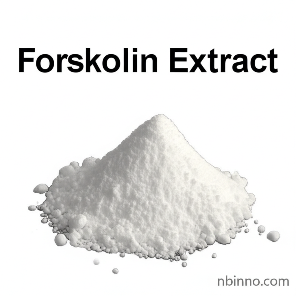 フォルスコリン抽出物