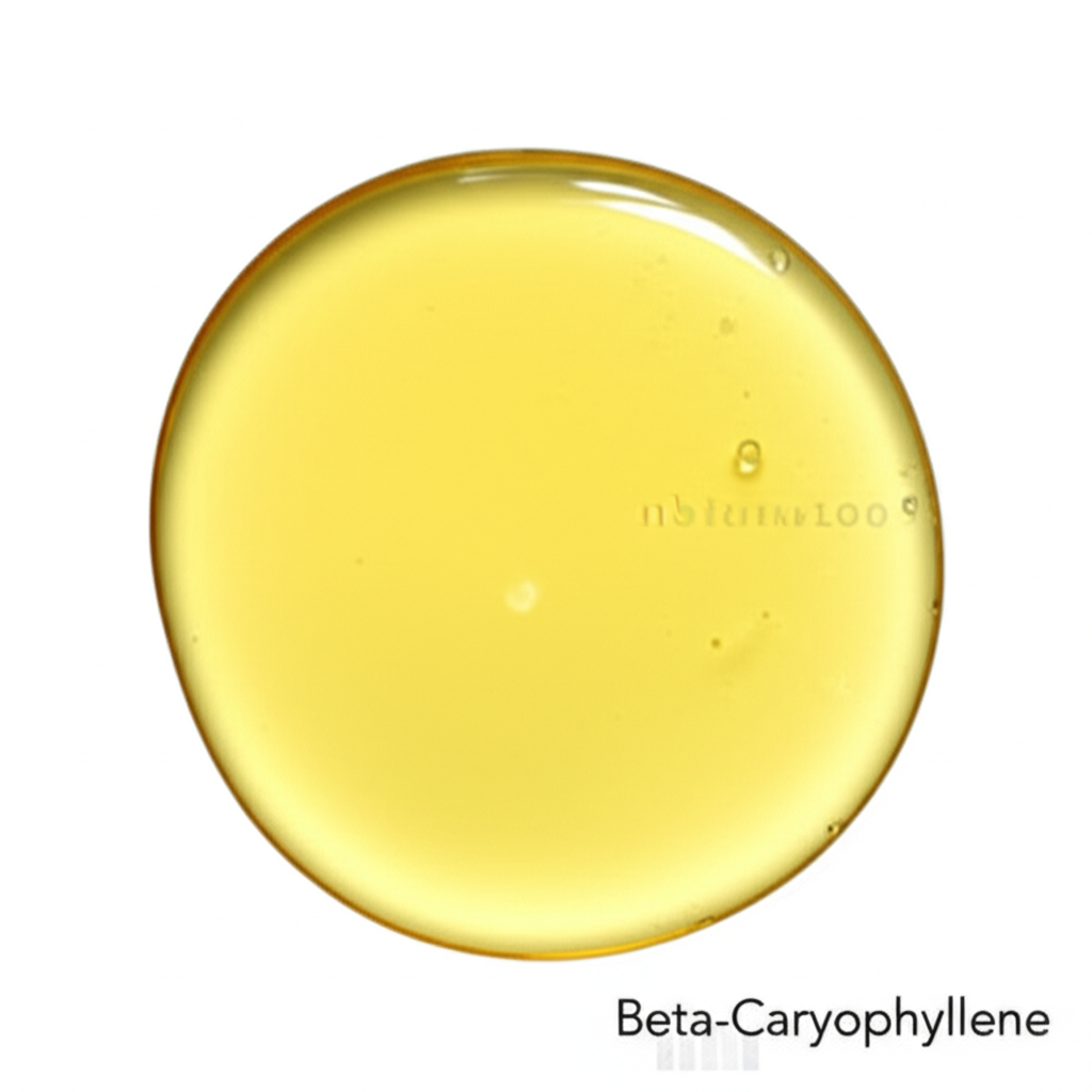 Beta-Caryophyllene