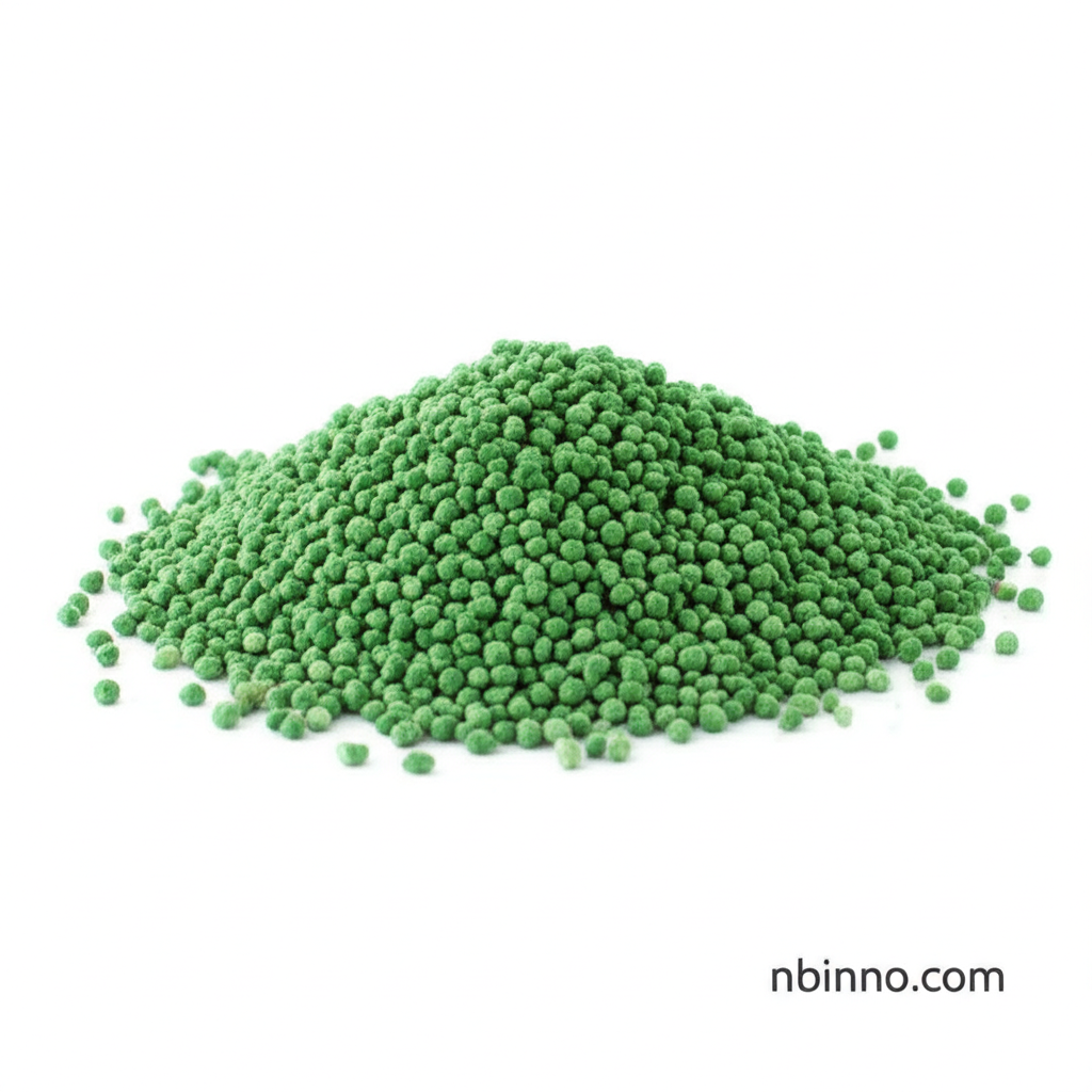 Natural Zeolite Clinoptilolite