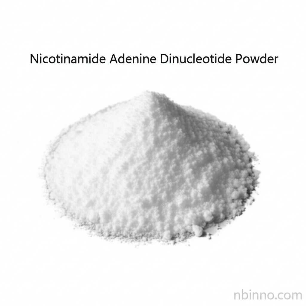 Nicotinamide Adenine Dinucleotide Powder