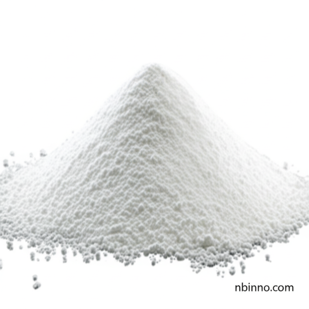 Magnesium Malate Powder