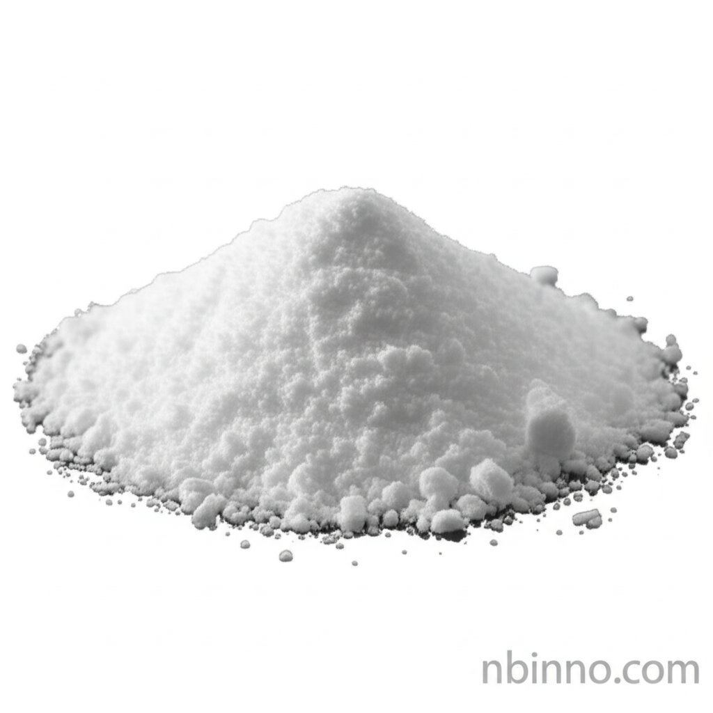 Pó de L-Carnitina