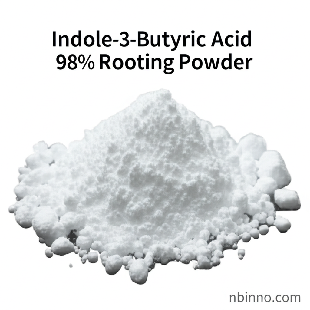 Indole-3-Butyric Acid 98% Rooting Powder