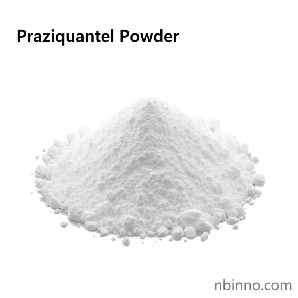 Praziquantel Powder
