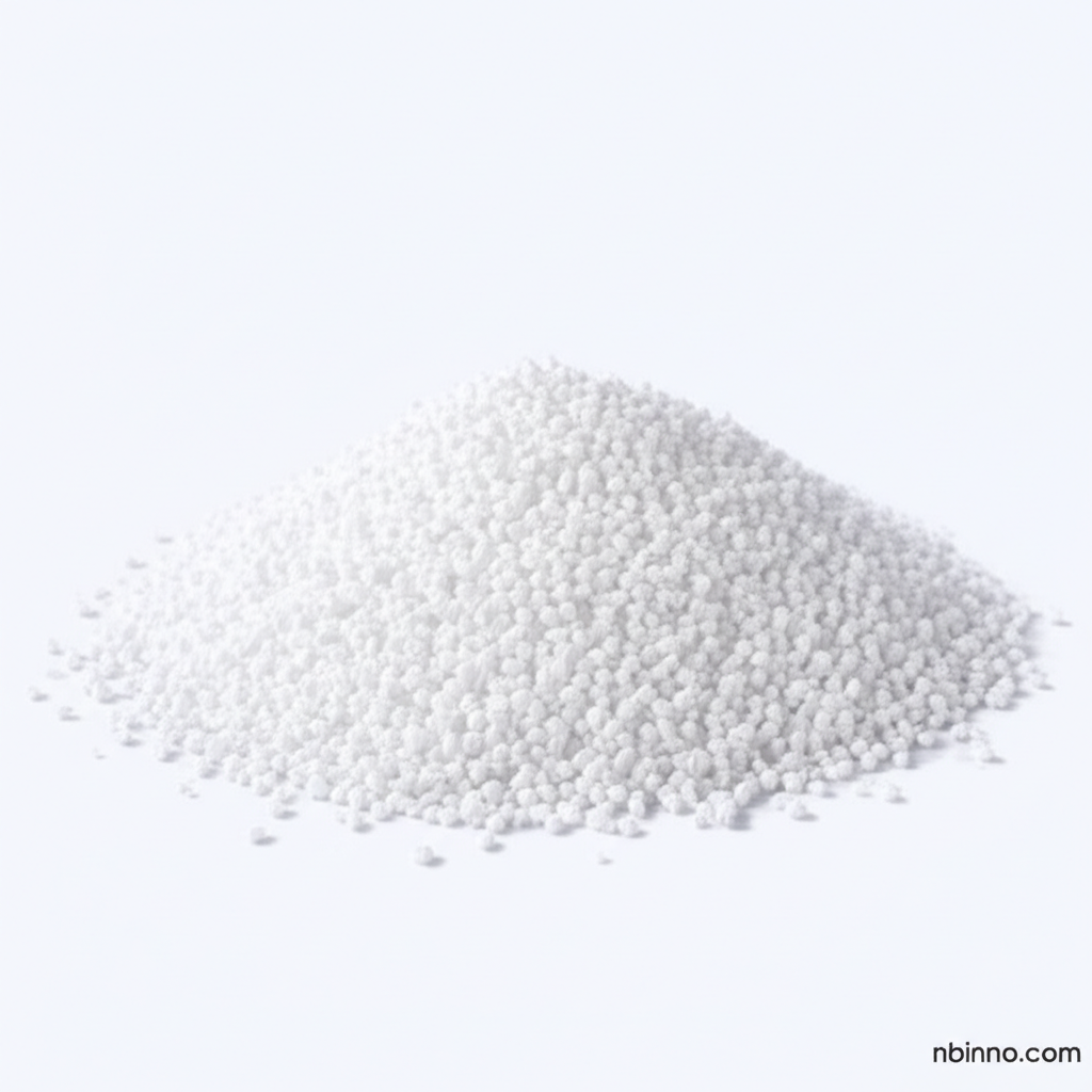 Bio-Based Silica