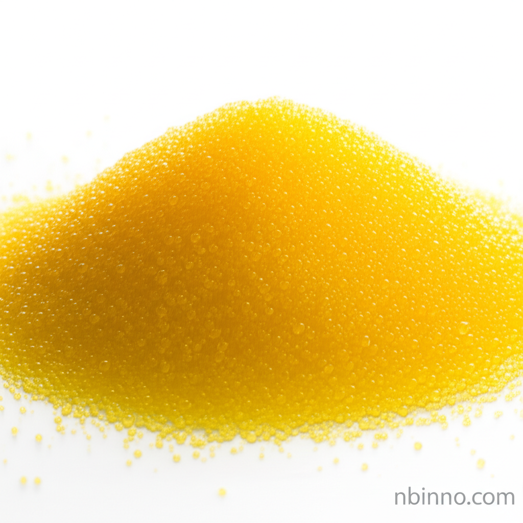 Anion Exchange Resin