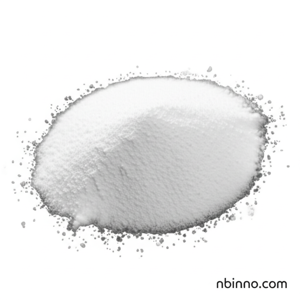 Hydroxypropyl Methyl Cellulose Powder