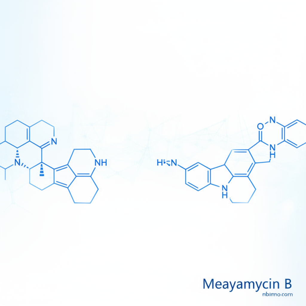 Meayamycin B