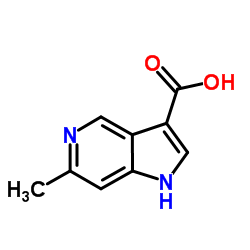 6-Methyl-1H-pyrrolo[3,2-c]pyridine-3-carboxylic acid_1000342-19-7