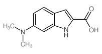 6-(dimethylamino)-1H-indole-2-carboxylic acid_100060-36-4