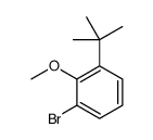 1-bromo-3-tert-butyl-2-methoxybenzene_1007375-07-6