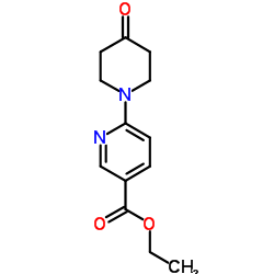 Ethyl 6-(4-oxo-1-piperidinyl)nicotinate_1016885-83-8