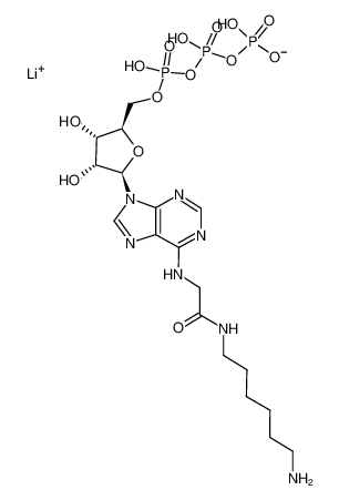 N6-([6-AMINOHEXYL]CARBAMOYL-METHYL)ADENOSINE 5'-TRIPHOSPHATE LITHIUM SALT_102185-24-0