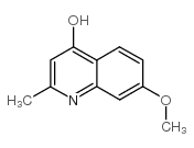 7-methoxy-2-methyl-1H-quinolin-4-one_103624-90-4