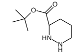 tert-butyl (3S)-diazinane-3-carboxylate_104069-74-1