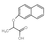 2-(2-naphthyloxy)propanoic acid_10470-82-3