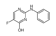 2-anilino-5-fluoro-1H-pyrimidin-6-one_1047405-73-1