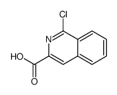 1-chloroisoquinoline-3-carboxylic acid_1049606-80-5