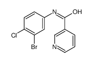N-(3-bromo-4-chlorophenyl)pyridine-3-carboxamide_1065483-57-9