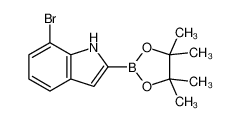 7-Bromo-2-(4,4,5,5-tetramethyl-1,3,2-dioxaborolan-2-yl)-1H-indole_1072812-23-7