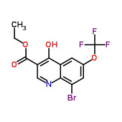 Ethyl 8-bromo-4-hydroxy-6-(trifluoromethoxy)quinoline-3-carboxylate_1072944-81-0