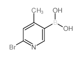 6-bromo-4-methylpyridine-3-boronic acid_1072945-75-5