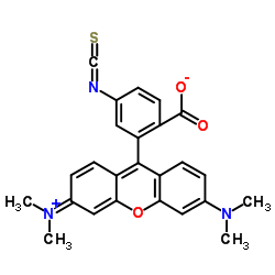 Tetramethylrhodamine-6-isothiocyanate_107347-53-5