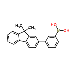 [3-(9,9-Dimethyl-9H-fluoren-2-yl)phenyl]boronic acid_1092840-71-5