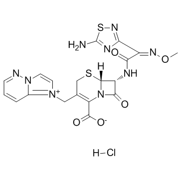 Cefozopran hydrochloride_113981-44-5