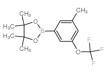 3-Methyl-5-(trifluoromethoxy)phenylboronic acid, pinacol ester_1150561-56-0