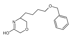 (5S)-5-(4-phenylmethoxybutyl)morpholin-3-one_1166394-97-3