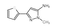 2-methyl-5-thiophen-2-ylpyrazol-3-amine_118430-78-7
