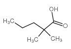 2,2-dimethylvaleric acid_1185-39-3