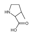 (3R)-3-Methyl-D-proline_118758-47-7