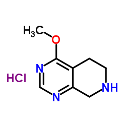 4-Methoxy-5,6,7,8-tetrahydropyrido[3,4-d]pyrimidine hydrochloride_1187830-77-8