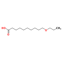 10-Propoxydecanoic acid_119290-12-9