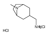 (8-methyl-8-azabicyclo[3.2.1]octan-3-yl)methanamine,dihydrochloride_1193388-39-4