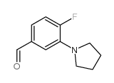 4-Fluoro-3-pyrrolidinobenzaldehyde_1197193-31-9