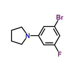 1-(3-Bromo-5-fluorophenyl)pyrrolidine_1199773-24-4