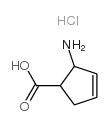 2-aminocyclopent-3-ene-1-carboxylic acid,hydrochloride_122022-92-8