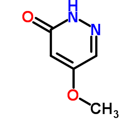5-Methoxy-3(2H)-pyridazinone_123696-01-5