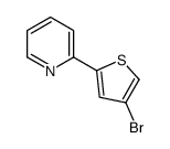 2-(4-bromothiophen-2-yl)pyridine_123784-08-7