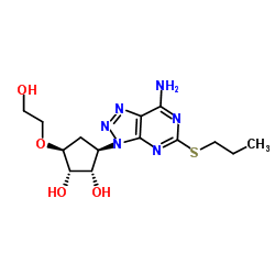 (1S,2S,3R,5S)-3-[7-Amino-5-(propylsulfanyl)-3H-[1,2,3]triazolo[4,5-d]pyrimidin-3-yl]-5-(2-hydroxyethoxy)-1,2-cyclopentanediol_1251765-07-7