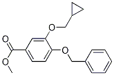 Methyl 4-(benzyloxy)-3-(cyclopropylMethoxy)benzoate_1255707-32-4