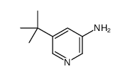 5-(2-Methyl-2-propanyl)-3-pyridinamine_1256818-34-4