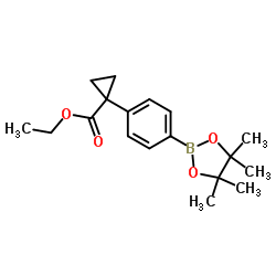 Ethyl 1-[4-(4,4,5,5-tetramethyl-1,3,2-dioxaborolan-2-yl)phenyl]cyclopropane-1-carboxylate_1257213-52-7