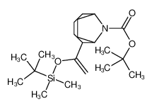 2-Methyl-2-propanyl 2-(1-{[dimethyl(2-methyl-2-propanyl)silyl]oxy }vinyl)-9-azabicyclo[4.2.1]nonane-9-carboxylate_125736-00-7