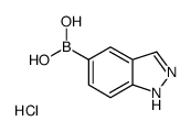1H-indazol-5-ylboronic acid,hydrochloride_1257738-46-7