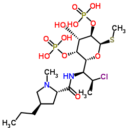 Clindamycin 2,4-Diphosphate_1309048-48-3