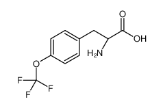 (2S)-2-amino-3-[4-(trifluoromethoxy)phenyl]propanoic acid_131123-44-9